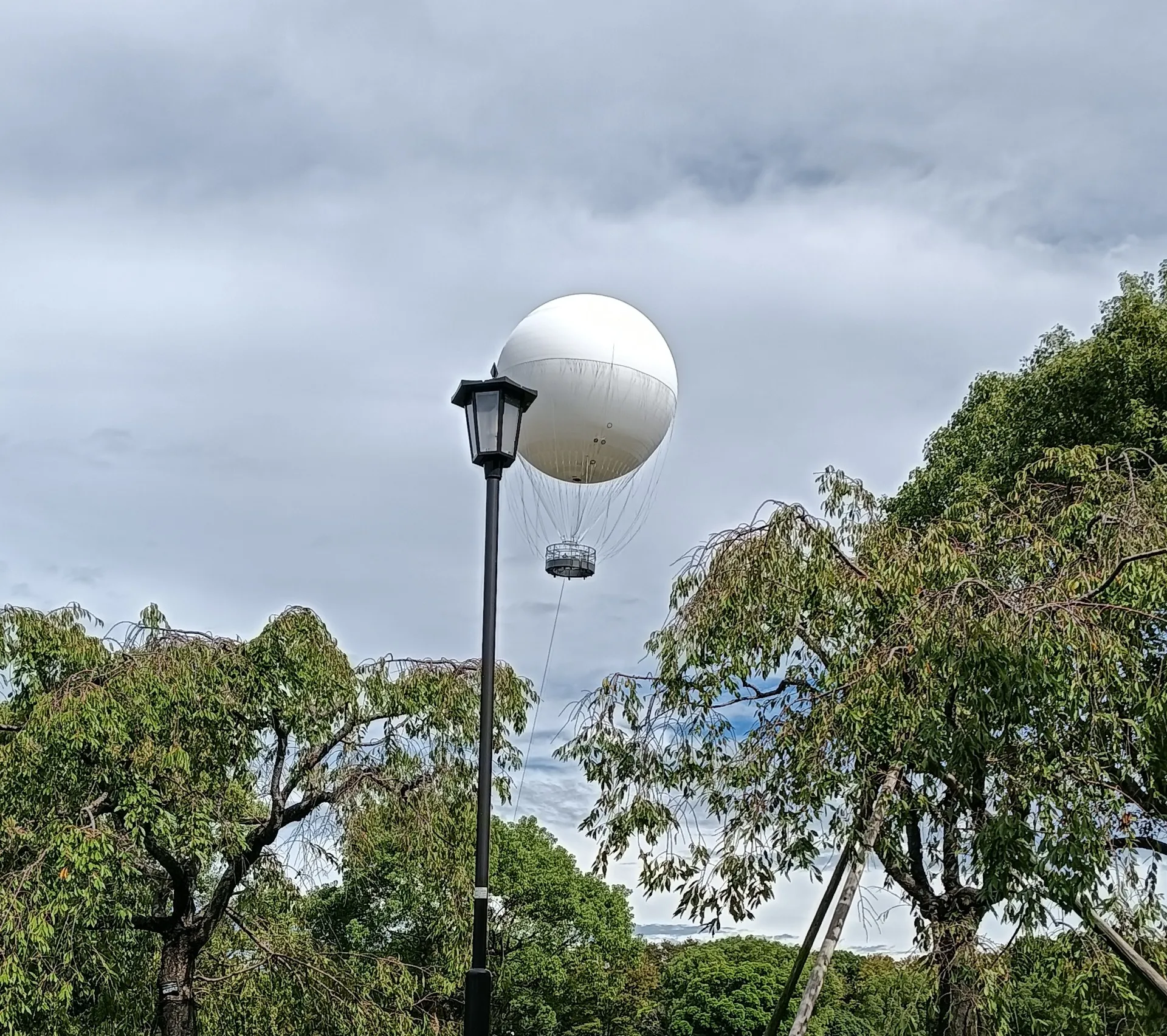 西日に映える白