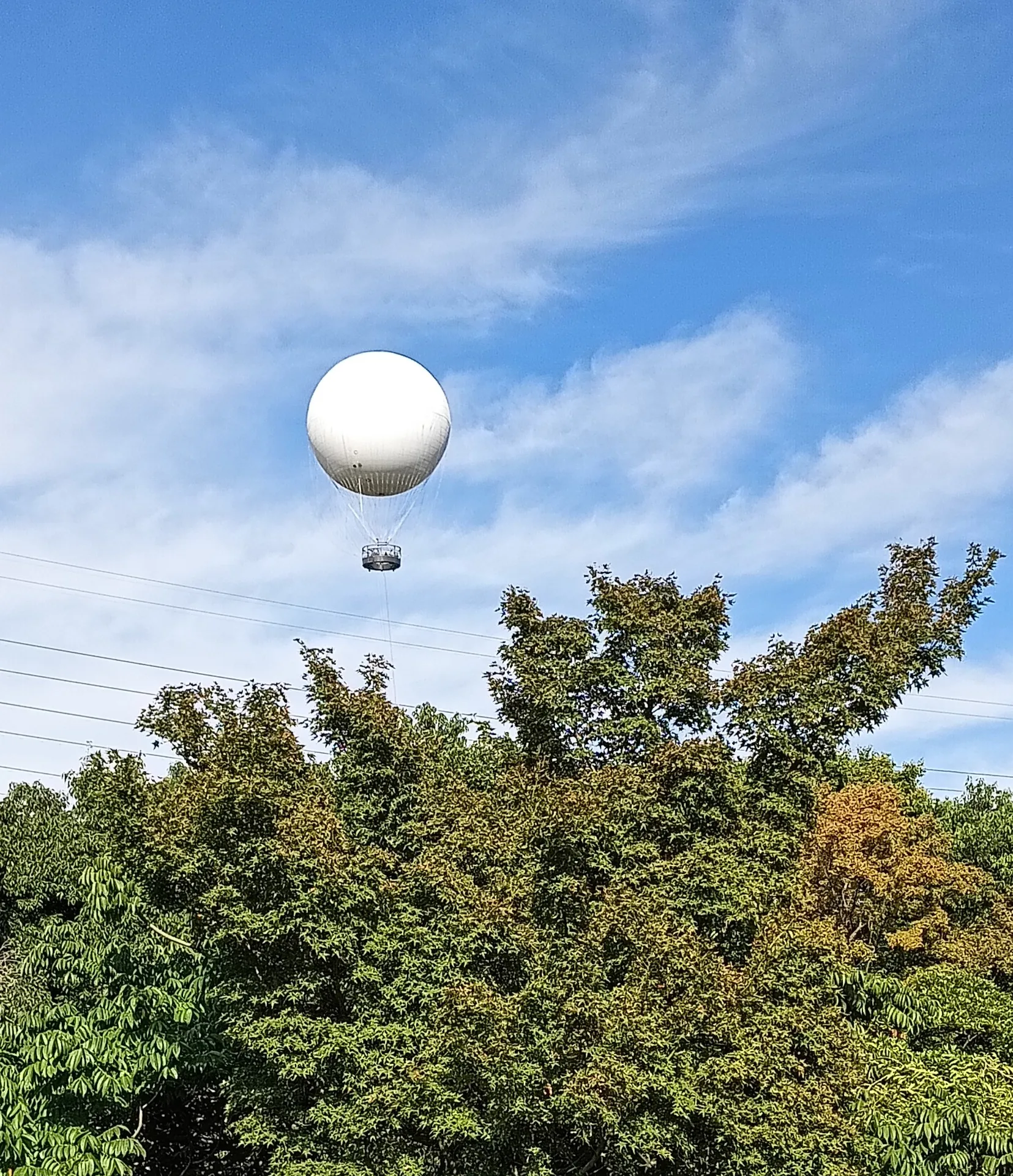 空を舞うドラゴン